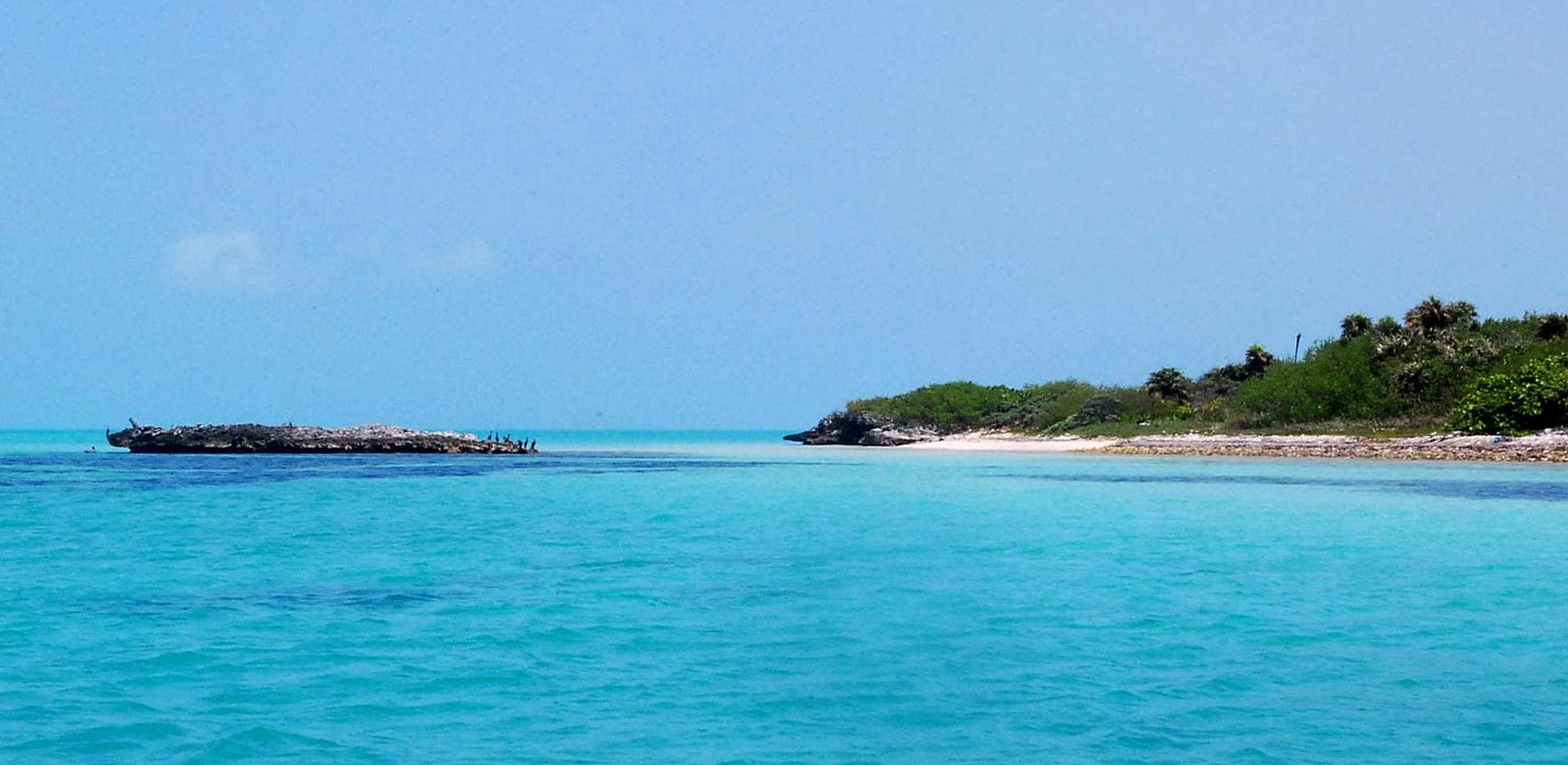 Tour Isla Contoy snorkel en los arrecifes
