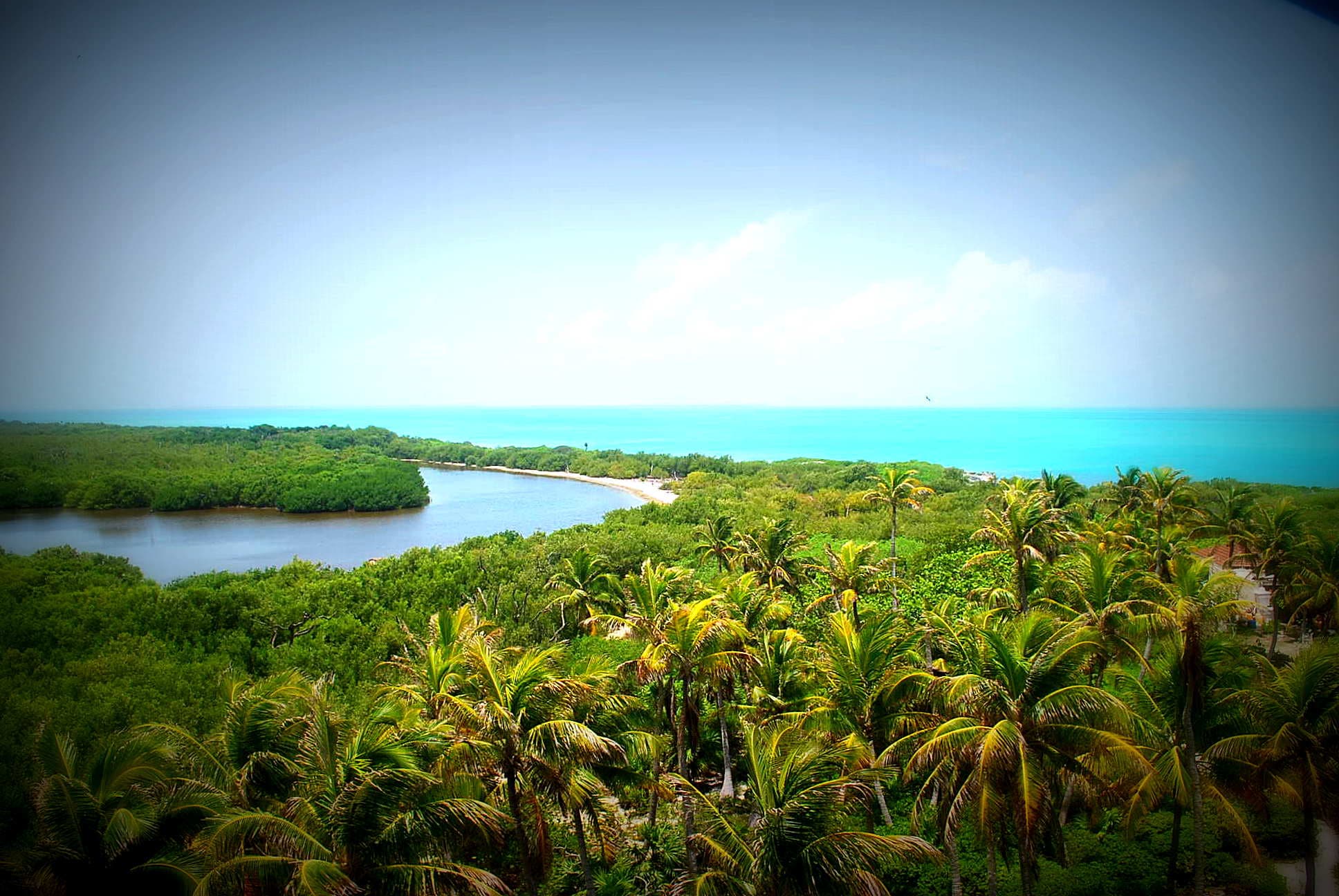 Tour Isla Contoy snorkel en los arrecifes - 6
