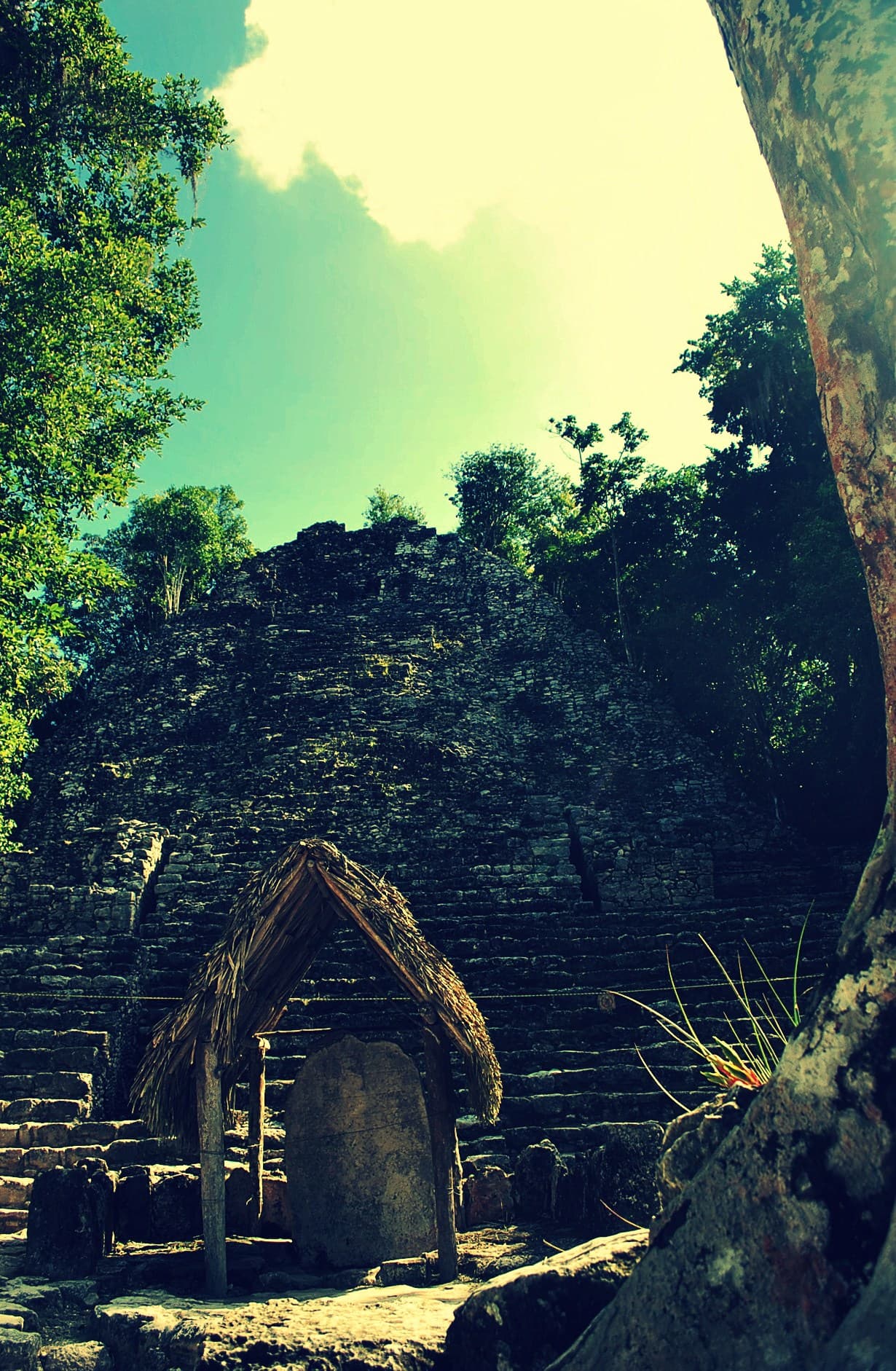 Tour Cultural Tulum y Cobá con Cenote Incluido - 5