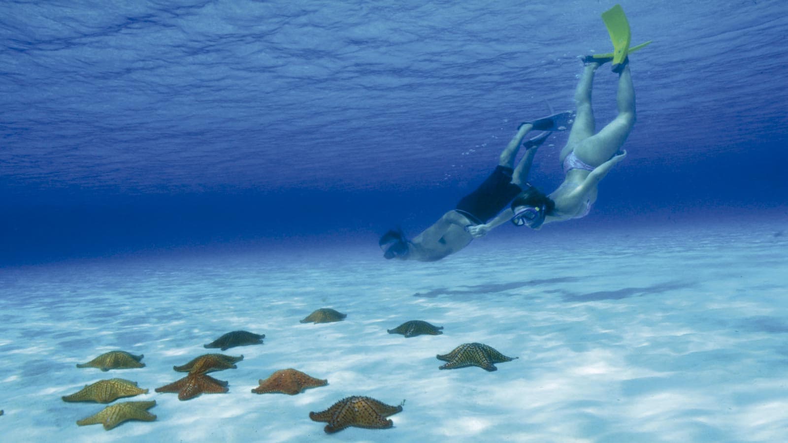 Cozumel – El Cielo (Snorkel) - 2