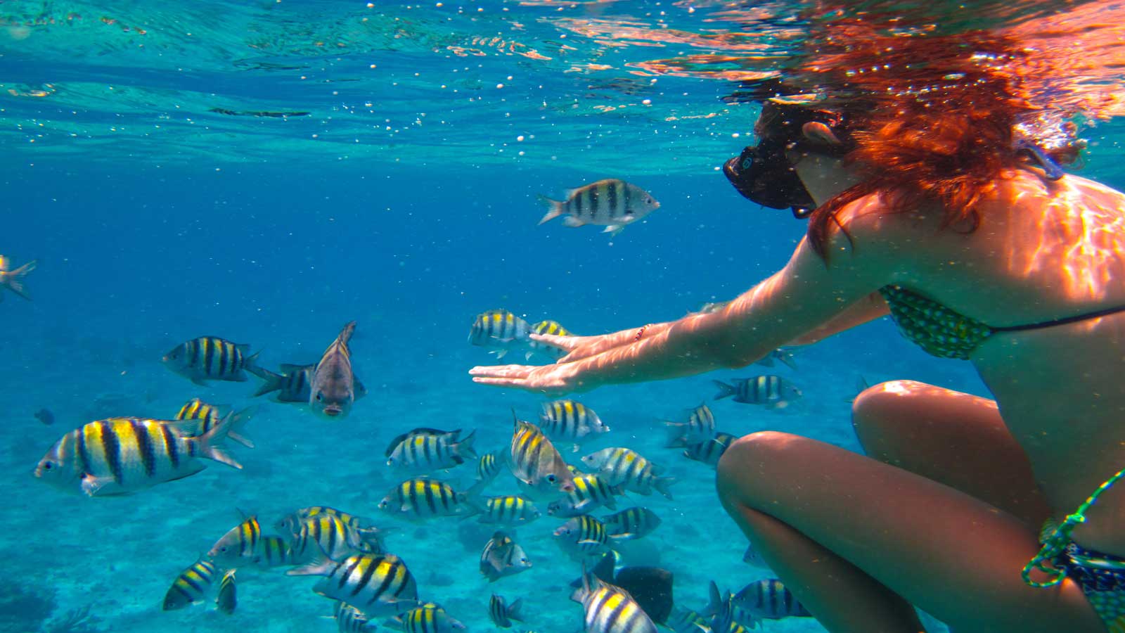 Cozumel – El Cielo (Snorkel) - 4