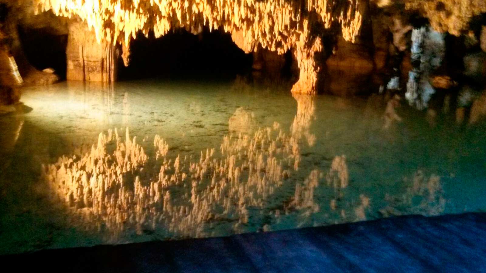Tour Tulum Tortugas Akumal y Cenote. - 2