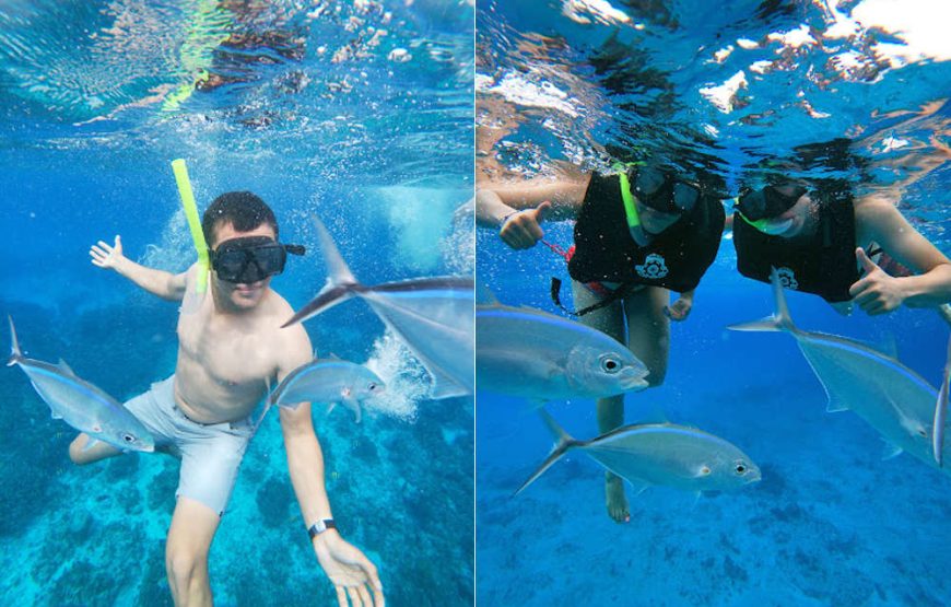Excursión a COZUMEL en Catamarán Chile y Tequila todo incluido