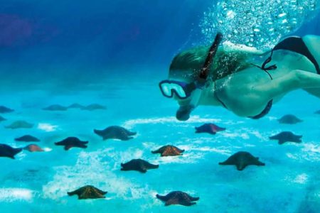 excursión a cozumel desde tulum, snorkel en el cielo