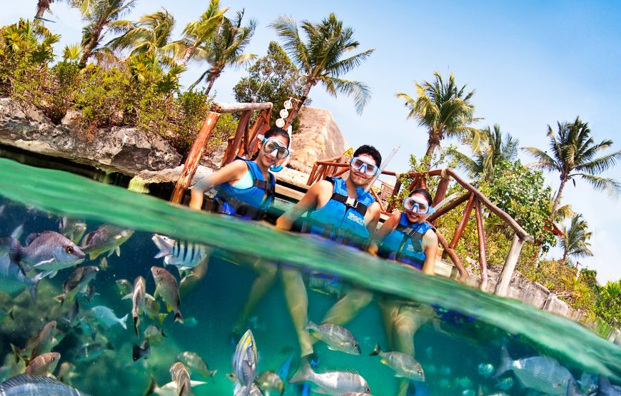 Tour Xel-Há todo incluido: snorkel, comida y naturaleza