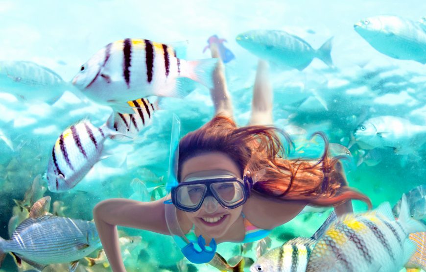 Tour Xel-Há todo incluido: snorkel, comida y naturaleza