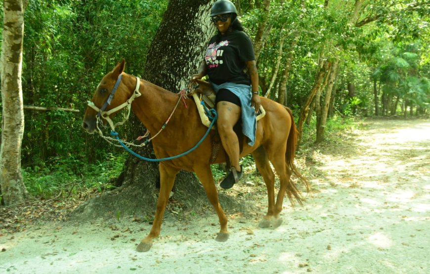 Tour Aventura ATV, Tirolesa, Cenote y Paseo a Caballo en la Selva Maya