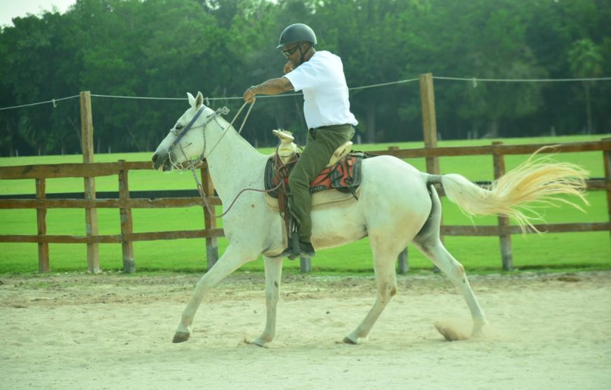 Tour Aventura ATV, Tirolesa, Cenote y Paseo a Caballo en la Selva Maya